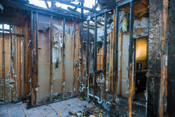 Professional Structural Rebuild technician working in Glencoe, MN